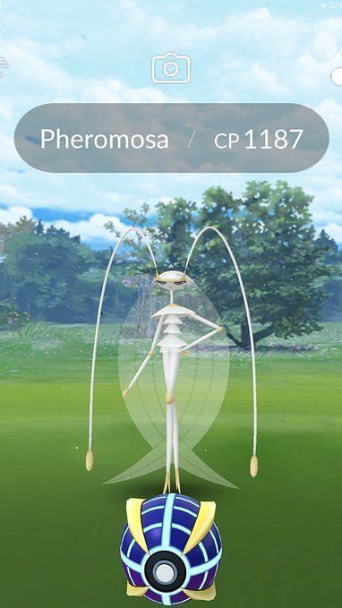 pokemon go pheromosa|pokemon go pheromosa best moveset.